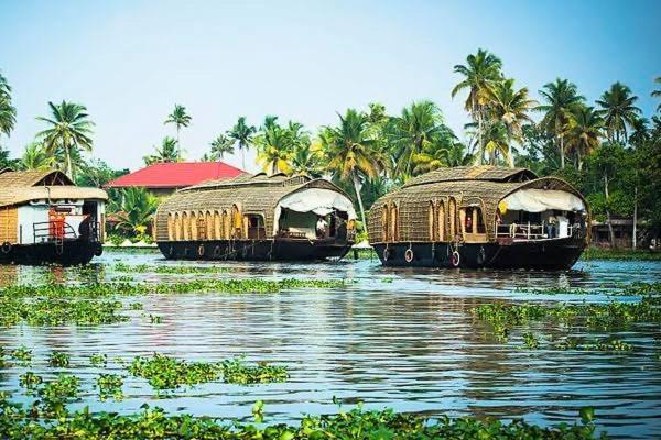 Marari Beach Cleetus Homestay Mararikulam Ngoại thất bức ảnh