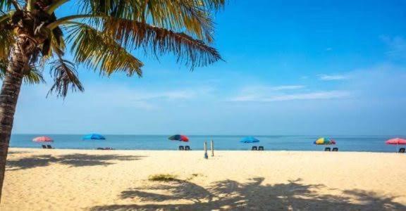 Marari Beach Cleetus Homestay Mararikulam Ngoại thất bức ảnh